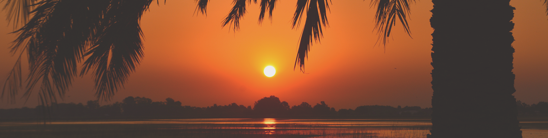 Tropical sunset and silhouettes of palm trees